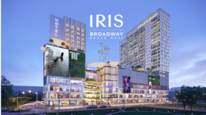 Iris Trehan project showcase featuring elegant design and creative visuals